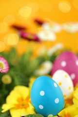 Easter holiday.Easter eggs and spring flowers. Decorative eggs  on yellow primrose flowers on bright orange with bokeh background.Spring festive religious background.