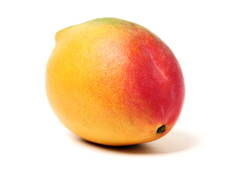 Mango on a white background