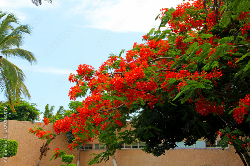 Wall mural tree with flowers