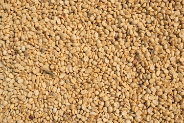 closeup unroasted green coffee beans background natural