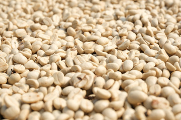 closeup unroasted green coffee beans background
