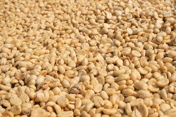 closeup unroasted green coffee beans natural