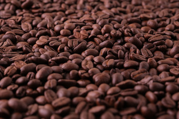 closeup coffee beans background
