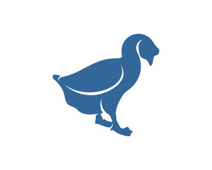 Swan logo vector design template, Silhouette Swan logo, Illustration