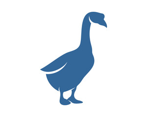 Swan logo vector design template, Silhouette Swan logo, Illustration