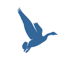 Swan logo vector design template, Silhouette Swan logo, Illustration