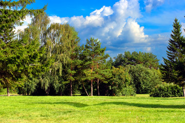 Fototapeta na wymiar Summer Park Landscape