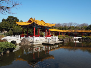 Fototapeta na wymiar the beautiful chinese garden