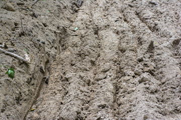 Loose dry land not suitable for agriculture