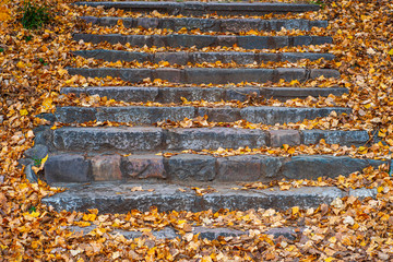 Old stone steps covered with yellow fallen leaves