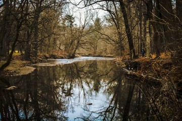A Reflective Lake in the Late Fall