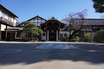 Fototapeta premium お寺