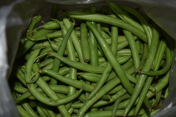 green beans in the market