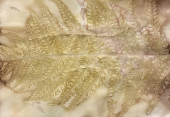 Ecoprint leaves. Imprint of a real plant on paper. Vintage background. Natural color. Handwork