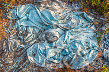 Image of blue fabric disposed of in nature