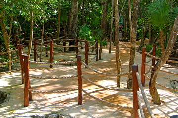 Fototapeta premium Nature