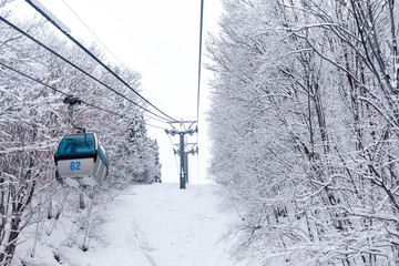 Fototapeta premium 森吉阿仁スキー場