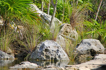 Rocks