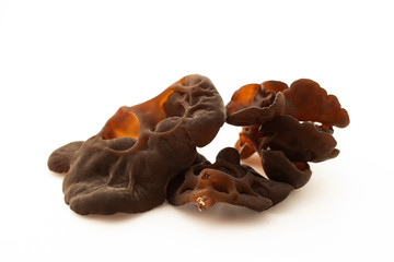 Obraz premium Wood ear mushroom on white background 