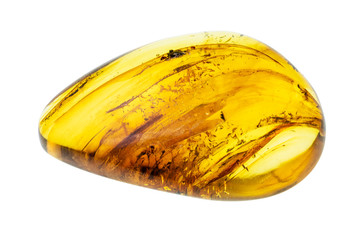 polished amber gem stone cutout on white