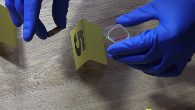 Criminal investigator in blue gloves, packs spent cartridges in a bag, for conducting an examination at the crime scene