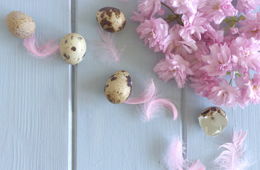 Welcome Spring Happy Easter Easter, spring greeting card, invitation with quail eggs, pink sakura and pink decorative feather on blue wood table. Feminine styled stock flat lay photo, top view.