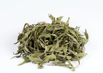 Dried plantain leaves on white background. Curative herb plantain, Plantago lanceolata,   good against the cough