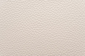 White natural animal skin texture. skin with pattern. background