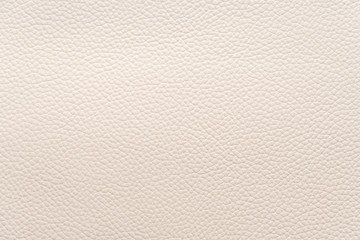 White natural animal skin texture. skin with pattern. background
