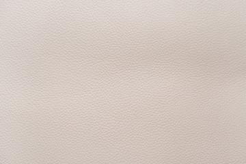 White natural animal skin texture. skin with pattern. background