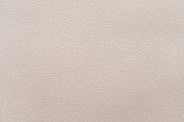 White natural animal skin texture. skin with pattern. background