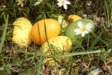 Ostereier im Gras