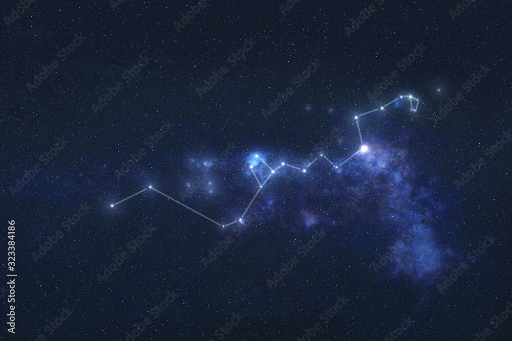 Poster hydra constellation stars in outer space. hydra constellation lines. elements of this image were fur