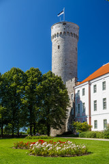 TALLINN / ESTONIA - AUGUST 2015: View to the medieval castle of Tallinn, Estonia