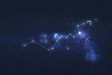 Hydra constellation stars in outer space. Hydra constellation lines. Elements of this image were furnished by NASA  - obrazy, fototapety, plakaty