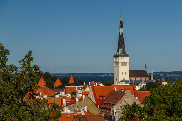 Obraz premium Street in the old town of Tallinn, Estonia