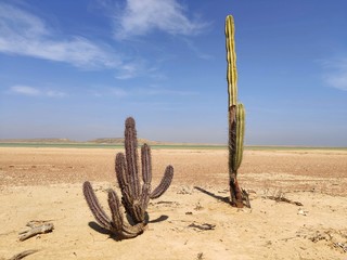 désert péninsule guajira