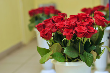 Beautiful red roses in white long vases on the floor in the floral shop. Plenty of flowers for customers. Floristic gifts and presents on holidays. Romantic gesture