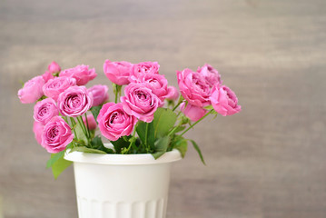 Beautiful bouquet of pink misty bubbles roses in the simple white vase pot. Floral shop concept or holiday congraulattion card. Bright colorful floristic background