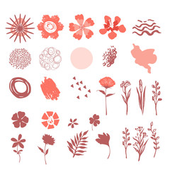 Fototapeta na wymiar Set of floral vector elements. Flowers and abstract shapes.