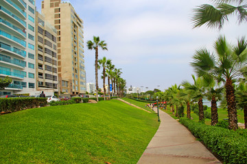 Fototapeta premium Park
