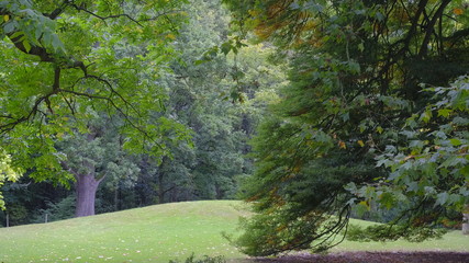 japanese garden in spring