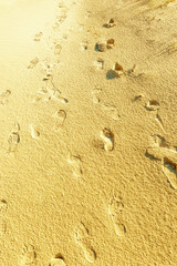 Footprints in the sand. Road through the desert