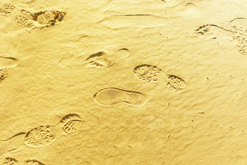 Footprints in the sand. Road through the desert