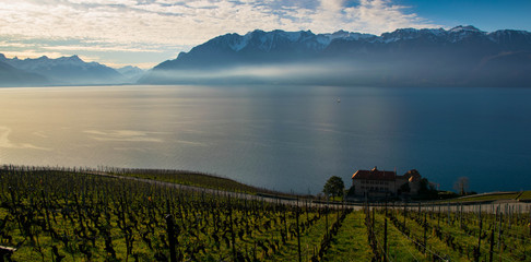 Genfer See in der Schweiz bei Saint Sarphorin