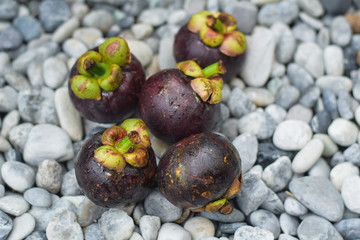 mangosteen on a background of stones