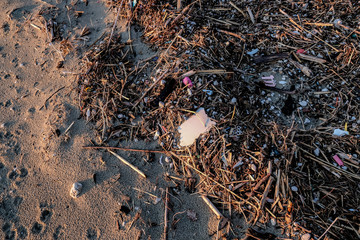 Industrial plastic Garbage pollution after winter sea storm coast,nature damage
