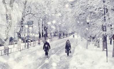 Winter forest landscape. Tall trees under snow cover. January frosty day in the park.
