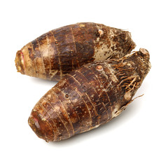 Taro on a white background