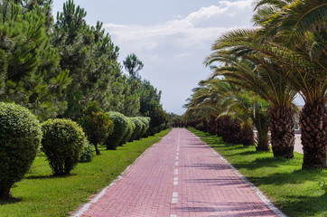 Obraz premium Paved road through green Park. Landscape gardening